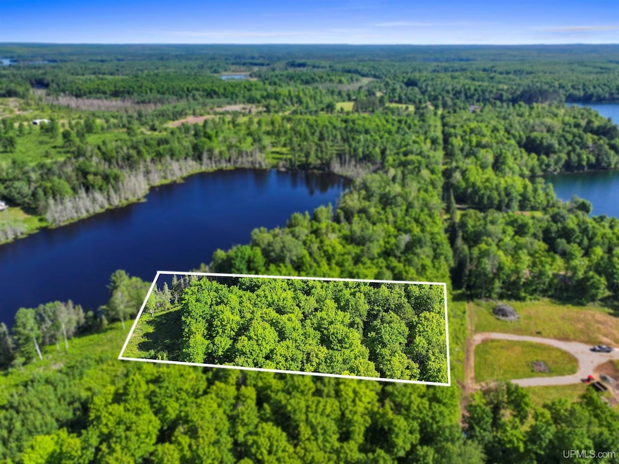 TBD Sunrise Shores Rd unit Parcel 5, Crystal Falls, MI 49920 - photo 1