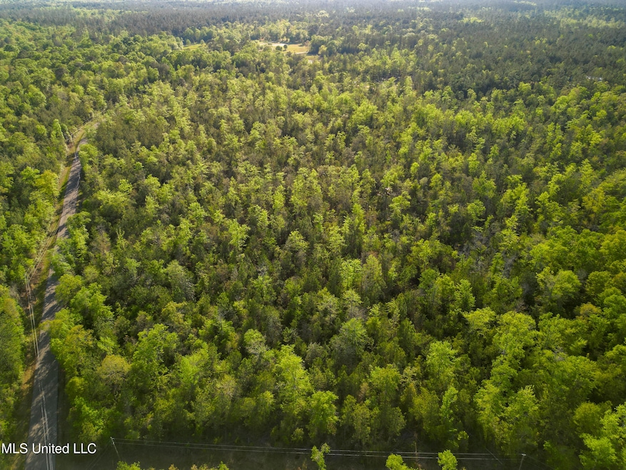 0 Peewee Miller Rd, Lucedale, MS 39452 - photo 1