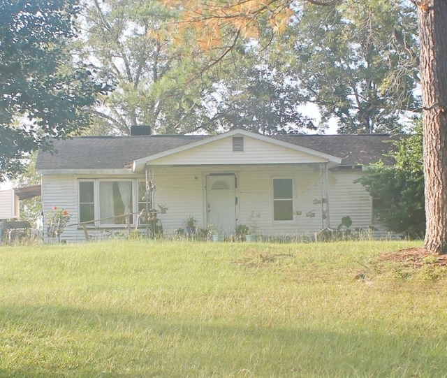 Main View