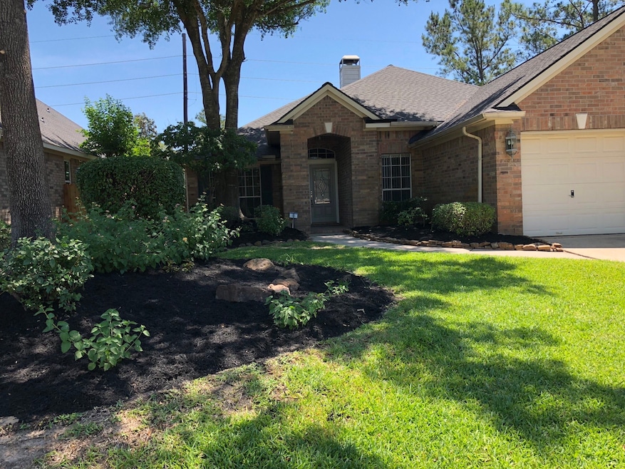 Large trees - lots of shade - so refreshing