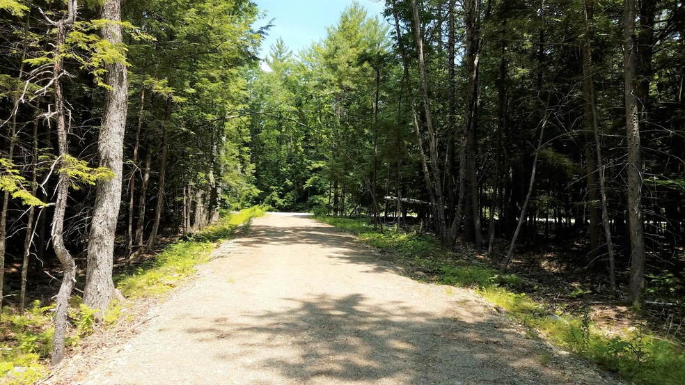 Lebanon Rd driveway to road