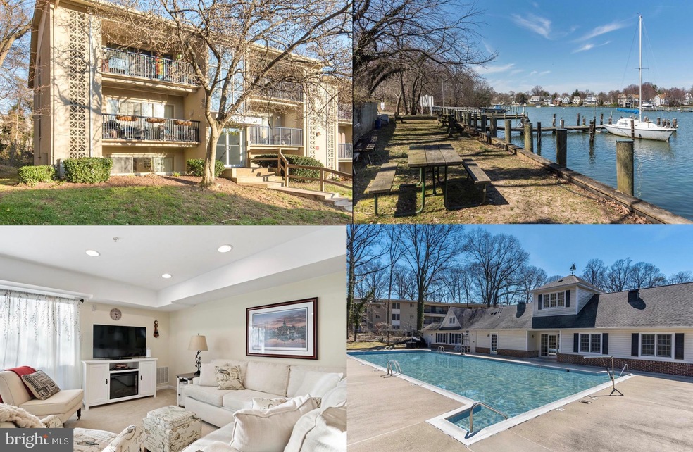 1142 Cove Rd unit 101, Annapolis, MD 21403 - photo 1