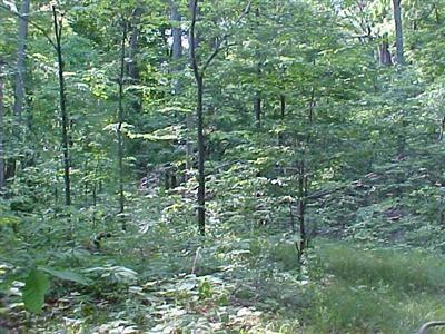 0 Park Rd unit 1360246, Perry Township, OH 45118 - photo 1