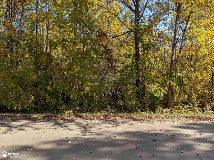 00 S van Vleet Rd, Clayton Township, MI 48473 - photo 1