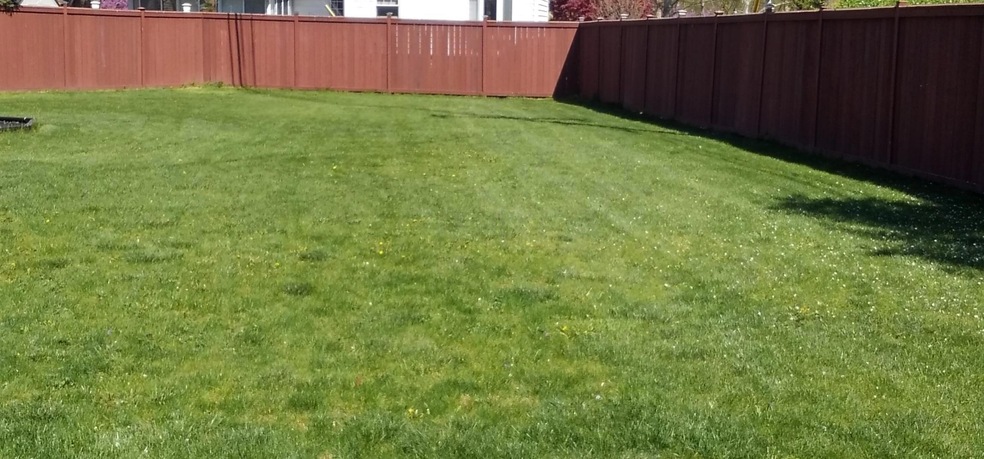 5564 Millington Rd, Columbus, OH 43235 - photo 1