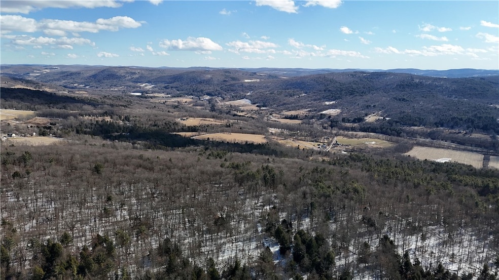 0 Patent Line Rd unit R1591298, Sidney, NY 13775 - photo 1