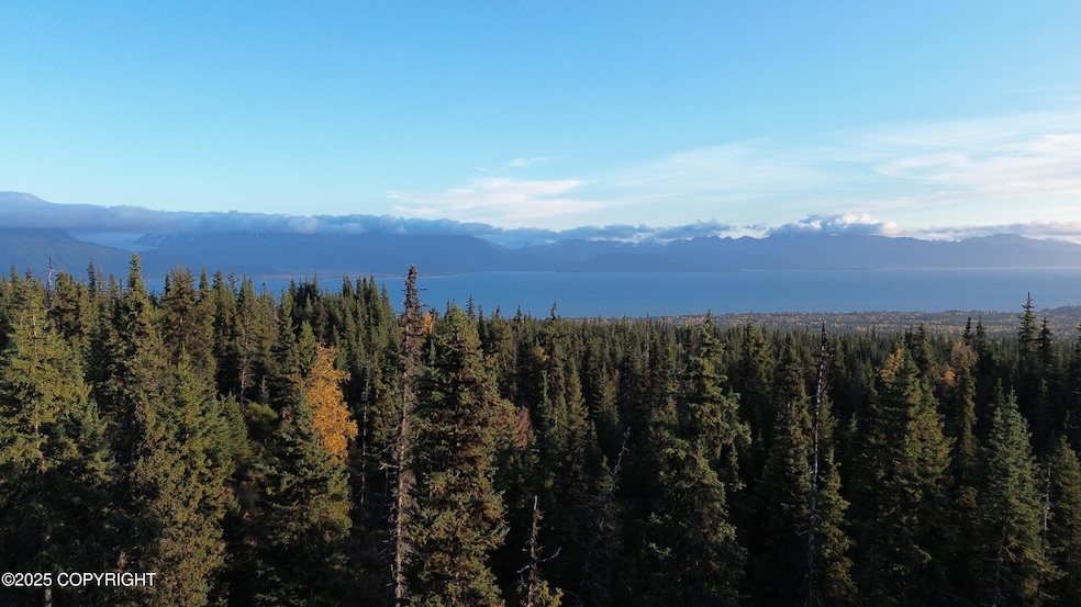 54533 Winchester Ave, Fritz Creek, AK 99603 - photo 1