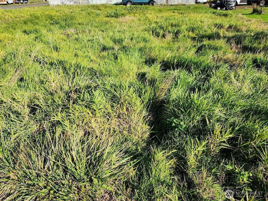 300 W Front St, Aberdeen, WA 98520 - photo 1