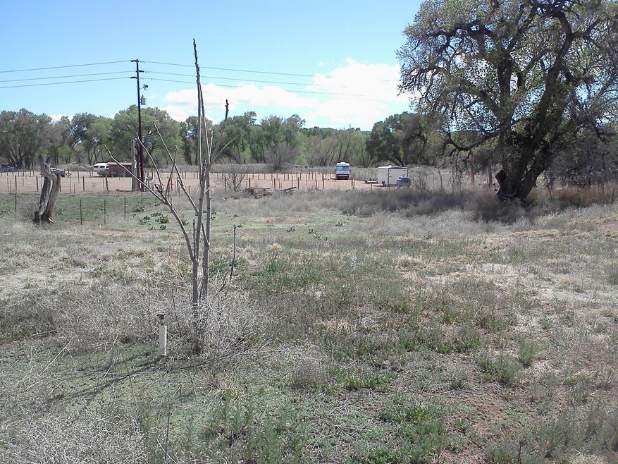 photos of both lots