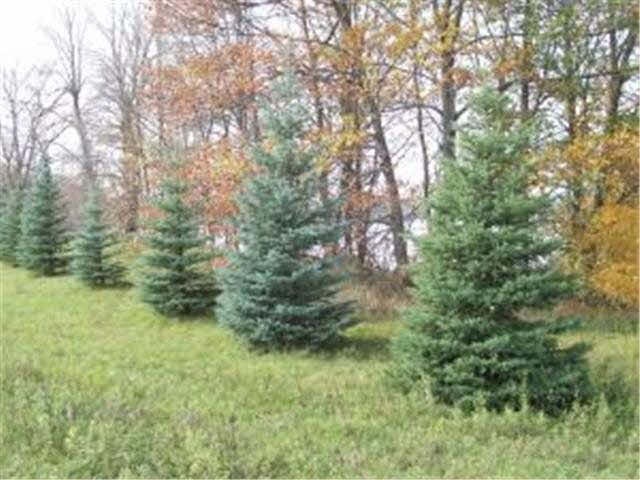 0 Lot 14 Country Ln SW unit 3566448, Farwell, MN 56327 - photo 1