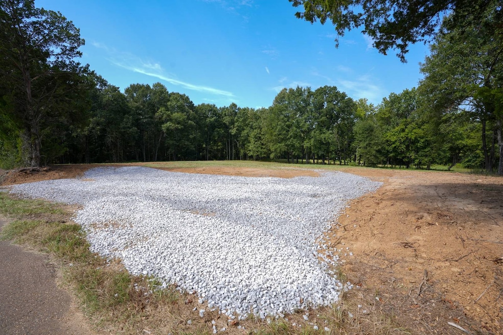 0 Cane Creek Rd unit Lot 4, Flora, MS 39071 - photo 1