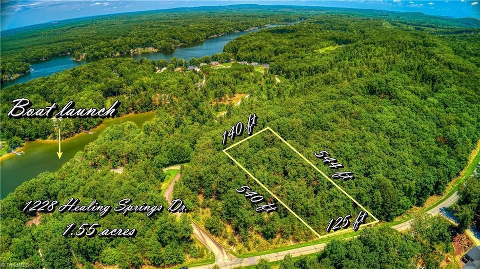 1228 Healing Springs Dr, Denton, NC 27239 - photo 1