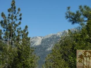 Primary Photo