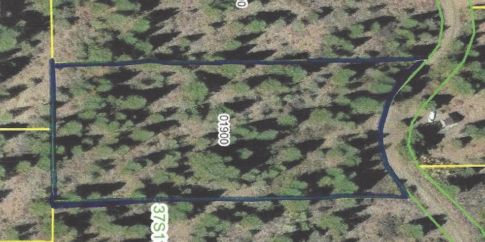 0 Polar Bear unit Lot 4, Bonanza, OR 97623 - photo 1