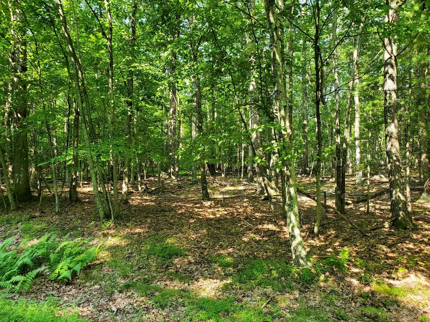 Lot 799 Tink Wig Dr, Lackawaxen Township, PA 18428 - photo 1