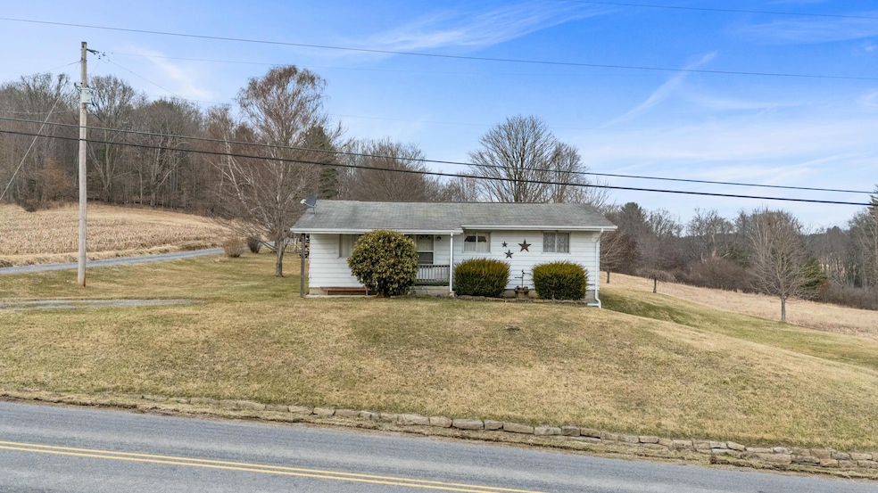 1669 Sylvis Rd, Cherry Tree, PA 15724 - photo 1