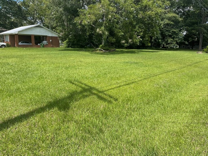 0 E Meeting Street and North Gordon St, Adel, GA - photo 1