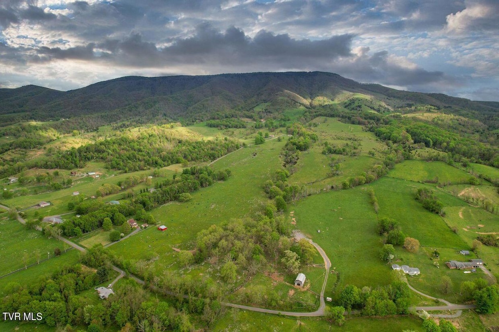 4-web-or-mls-9117-mountain-rd - Copy
