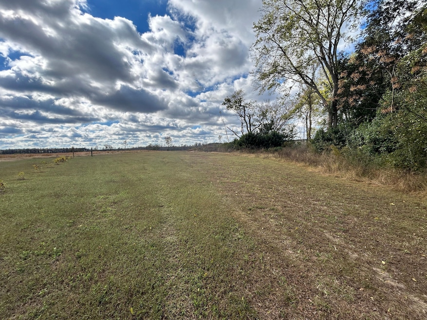 0 Gum Swamp Rd, Sellers, SC 29592 - photo 1