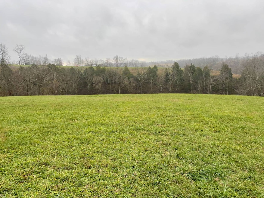 Tract # 6 Long Lick Ln unit 6, MacKville, KY 40040 - photo 1
