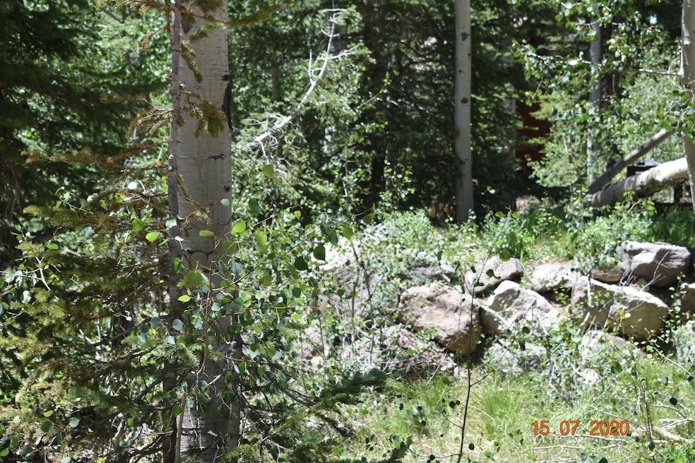 DSC_1082[1]