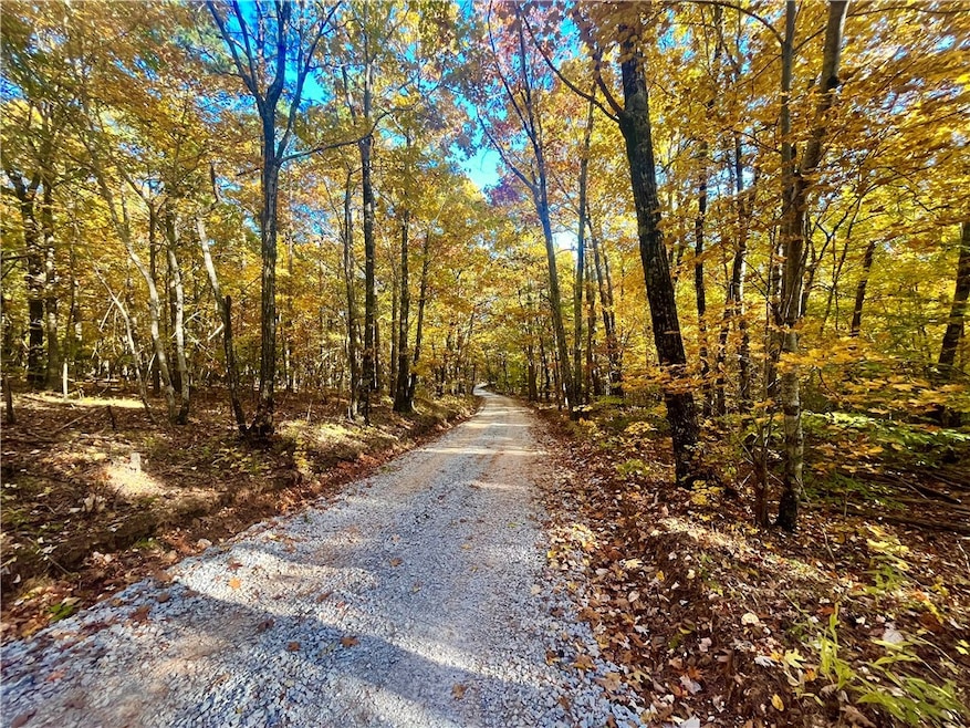 00 Nc 8801, Jasper, AR 72704 - photo 1