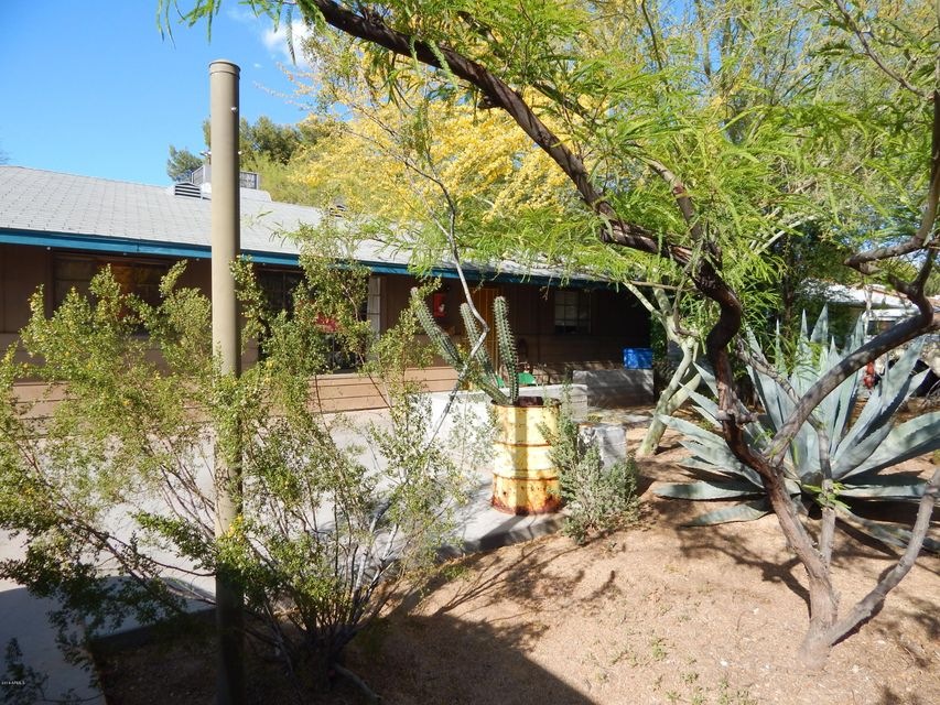 Front of the House - Desert Landscaping