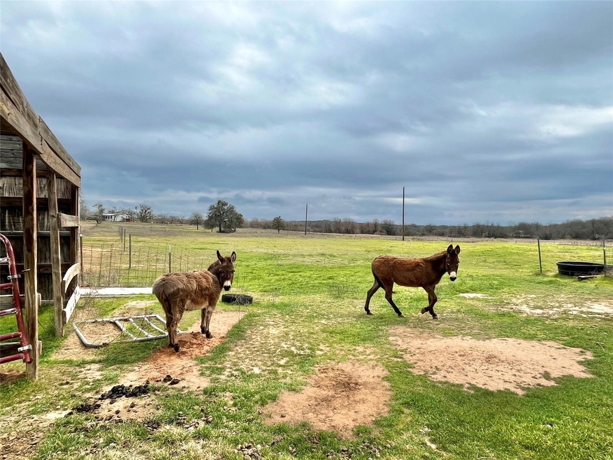 5684 Russell Bend Rd, Poolville, TX 76487 - photo 1