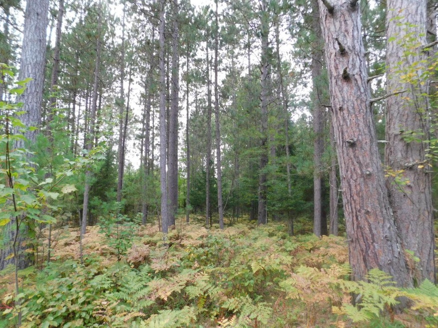 Lot 26 McCarthy Lake Rd, Tomahawk, WI 54487 - photo 1