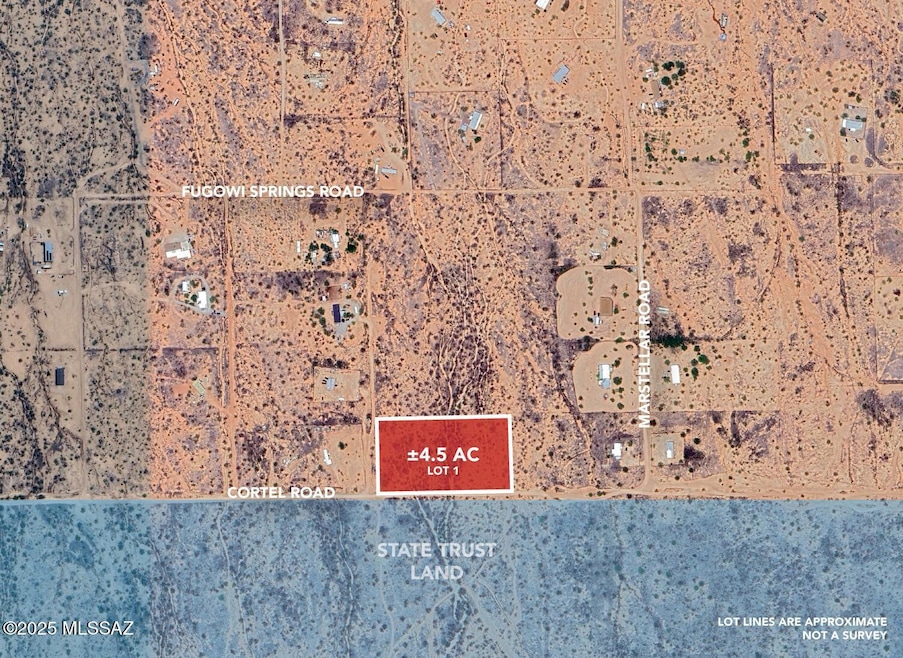 ZOOM-IN_LOT-1