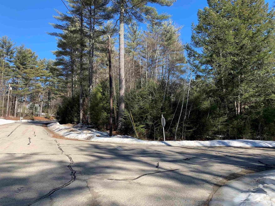 5 Roberts Rd, Brookfield, NH 03872 - photo 1