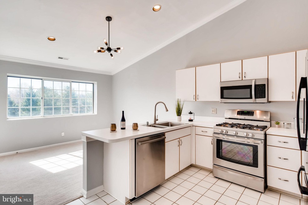 14 Bandon Ct unit 304, Lutherville Timonium, MD 21093 - photo 1