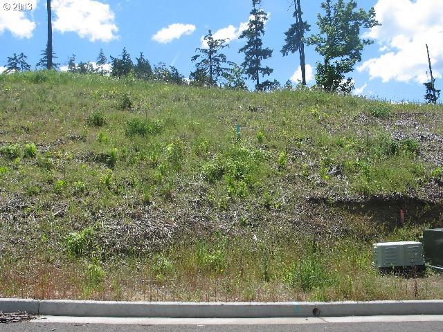 0 Stonecrest Dr unit Lot 5 13522512, Eugene, OR 97401 - photo 1