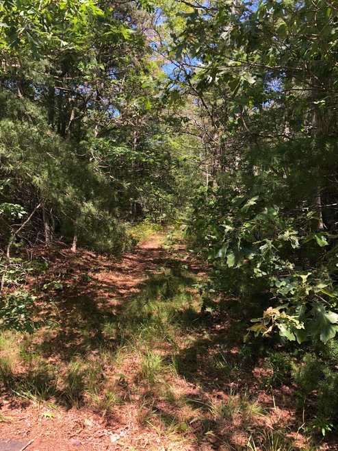 0 Old Stage Rd, West Barnstble, MA 02668 - photo 1