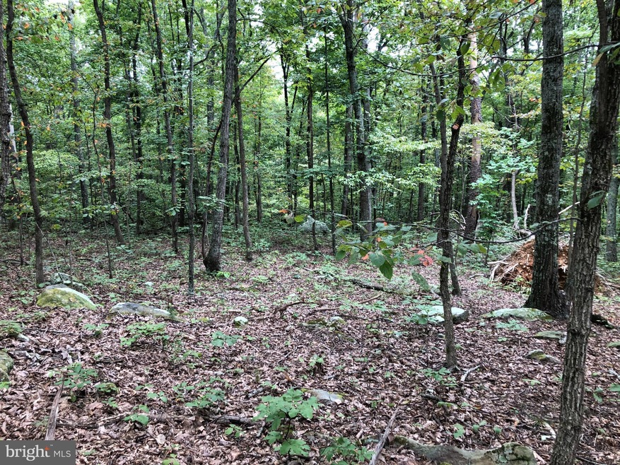 0 River Oak Dr unit VAWR2004076, Bentonville, VA 22610 - photo 1