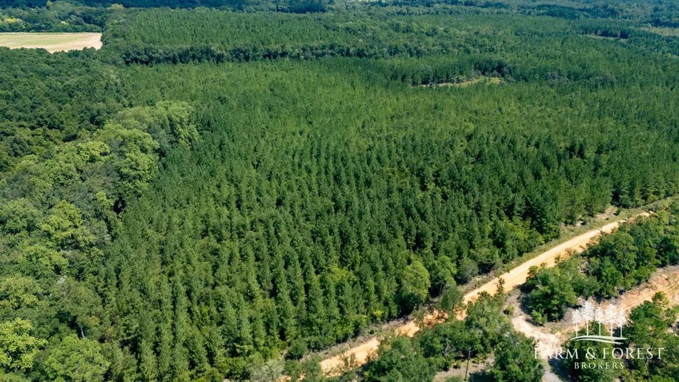 XX7 Alred Rd, Westville, FL 32464 - photo 1