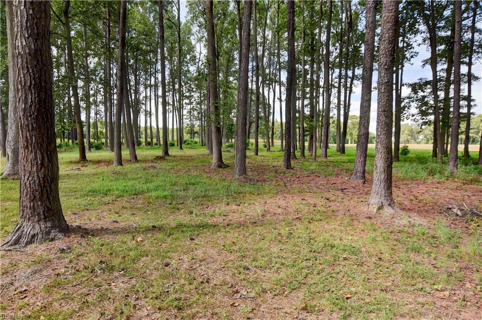 1.75ac Cobham Wharf Rd, Surry, VA 23883 - photo 1