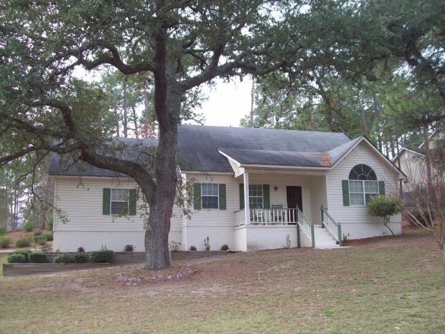 Main View