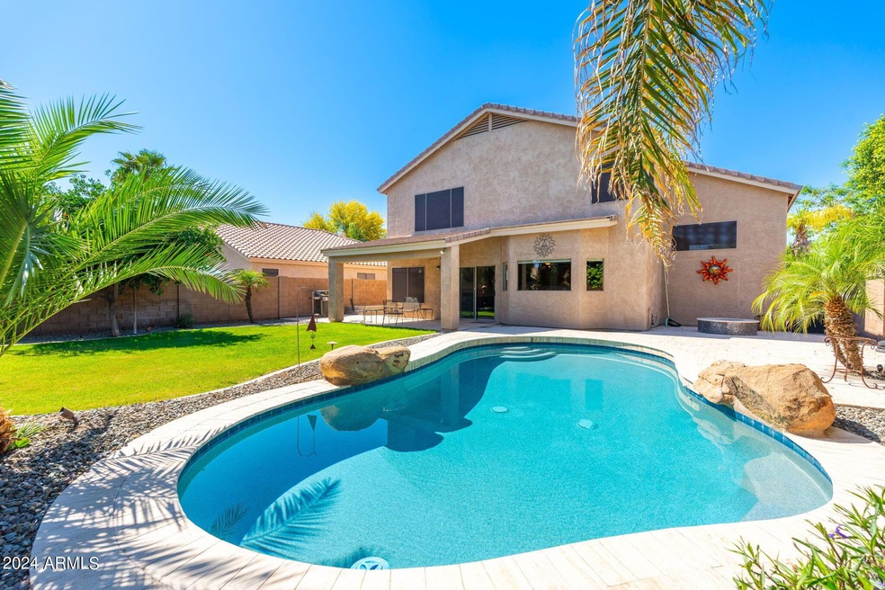 POOL / BACKYARD