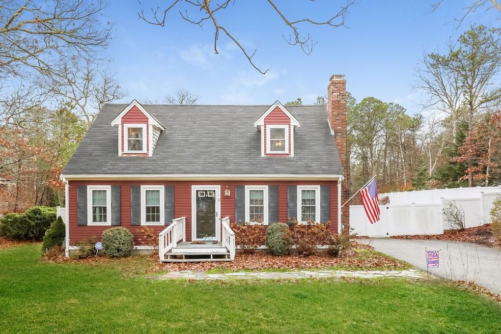 6 Saddlebackfront