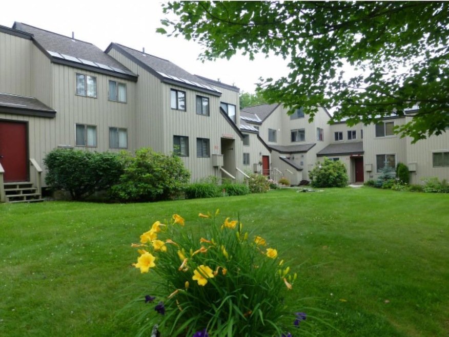 3 Eagle Dr unit 29, Wilmington, VT 05363 - photo 1