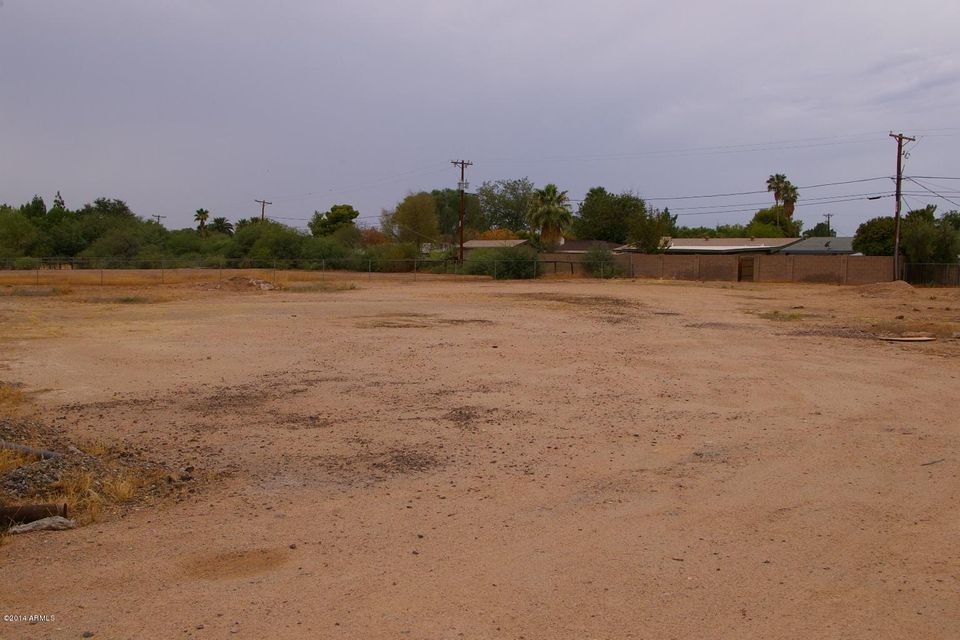 IMGP3942