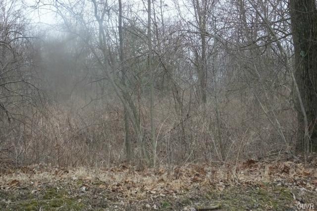2764 Scout House Rd, Slatington, PA 18080 - photo 1