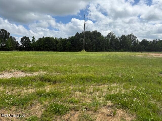 lot 27 pic