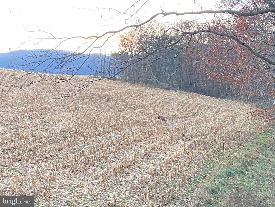 0 Llama Ln, Licking Creek Township, PA 17238 - photo 1