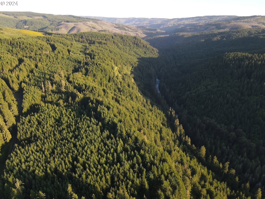 0 S Dickey Prairie Rd unit 24012878, Molalla, OR 97038 - photo 1