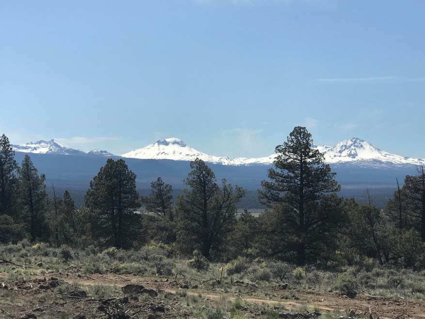 Panoramic Views