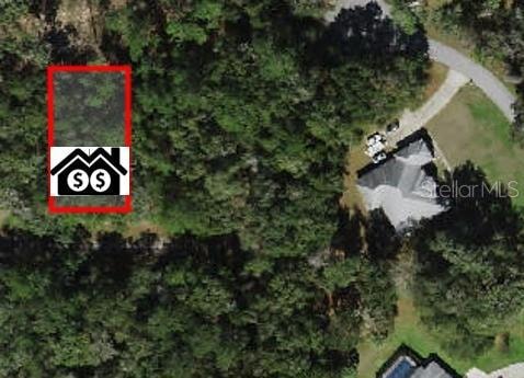 297 W Whitmarsh Ct, Citrus Springs, FL 34434 - photo 1