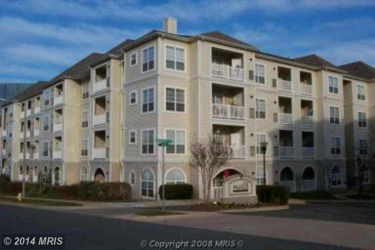 4561 Strutfield Ln unit 3407, Alexandria, VA 22311 - photo 1