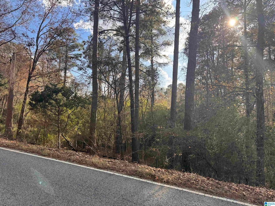 5415 Clay-Palmerdale Rd, Pinson, AL 35126 - photo 1